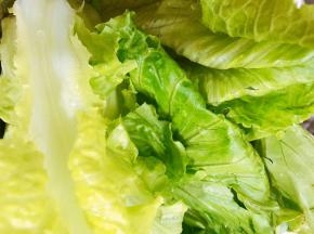 生菜淘洗干净
