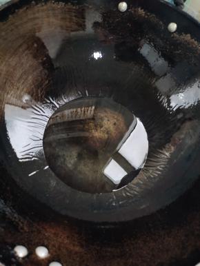 锅烧热，放入适量的油，转动锅滑锅！这样一会儿煎制泥鳅的时候才不会粘锅！