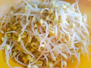 黄豆芽洗净沥水