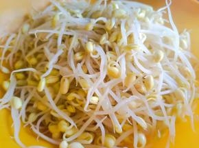 黄豆芽洗净沥水