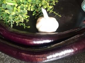 备好食材