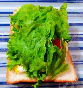 均匀的摆设番茄片淋上沙拉酱再盖上生菜