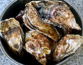 在市场买到鲜活的生蚝回来用牙刷轻轻的刷洗干净沥干水份小心的括出生蚝肉肉