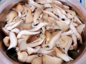 焯好水的平菇立即放入冷水中过凉