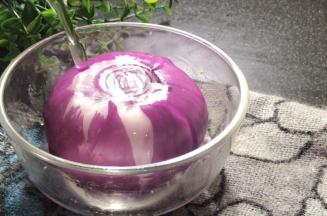 洋葱去外皮，用清水浸泡2分钟