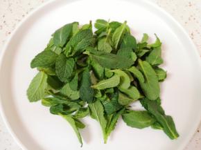 准备好新鲜的薄荷叶。