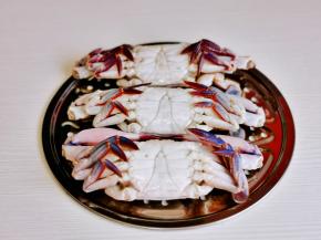 清洗干净的梭子蟹肚皮朝上放在蒸格上。