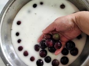 葡萄用淀粉水多清洗几遍，因为一会儿要用这个葡萄皮来煮水用！