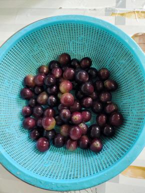 清洗干净的葡萄捞出，沥干水分备用！