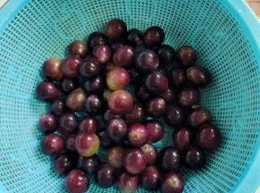 清洗干净的葡萄捞出，沥干水分备用！