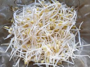 黄豆芽洗干净备用。