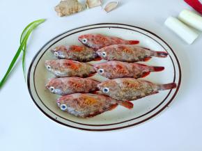 挑选新鲜的石斑鱼。