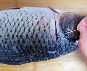 鲤鱼头部下面划开轻轻的取出鱼线