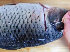 鲤鱼头部下面划开轻轻的取出鱼线