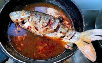 鲤鱼反正两面炖至变色盖上锅盖大火炖起来