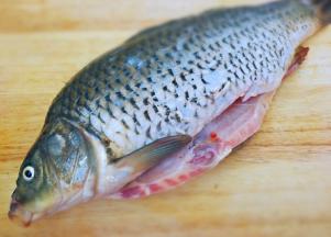 鲤鱼控干水份刮去鳞片