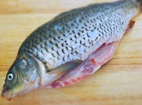 鲤鱼控干水份刮去鳞片