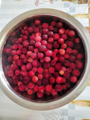 挑选新鲜的杨梅，倒入适量的水，再放入2勺盐，浸泡半个小时！把杨梅表面的灰尘和里面隐藏的小虫子都浸泡出来！