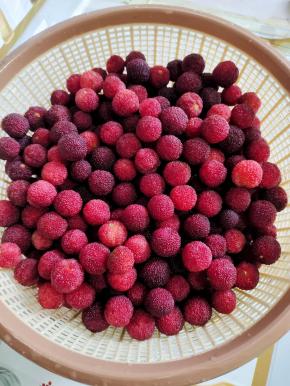 再次清洗几遍，捞出沥干水分备用！