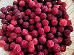 再次清洗几遍，捞出沥干水分备用！