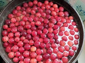 放入处理好的杨梅！