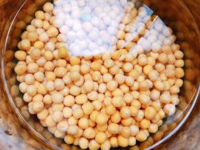 黄豌豆用清水泡发一晚12个小时左右，夏天放入冰箱冷藏泡发