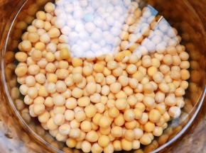 黄豌豆用清水泡发一晚12个小时左右，夏天放入冰箱冷藏泡发