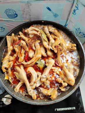 放入适量的水！（水不要太多，水刚好没过鸭掌即可！）