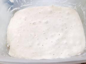 先做波兰种，碗里加入辅料里的全部材料搅拌均匀密封，室温发酵2个小时后放入冰箱冷藏发酵一晚