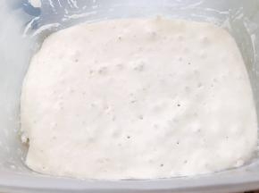先做波兰种，碗里加入辅料里的全部材料搅拌均匀密封，室温发酵2个小时后放入冰箱冷藏发酵一晚