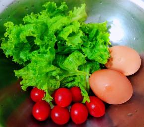 自家种的生菜和圣女果在清水中洗净鸡蛋煮熟备用