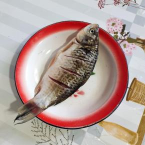 鲫鱼去鱼鳞，去内脏，去腮，清洗干净，鱼身划几刀，方便煮的时候入味儿！（鲫鱼炖汤不需要提前腌制，要不然鱼肉就不鲜嫩，清甜了！）