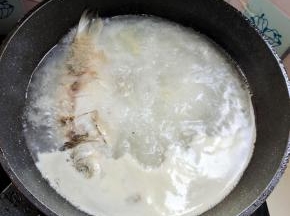 煮开后，转中火慢炖半个小时，汤像牛奶一样浓白！