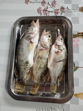 鳜鱼处理干净，加少许盐，适量的料酒腌制20分钟左右备用！