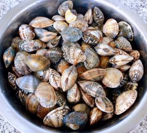 处理好的花甲洗净沥干水份备用