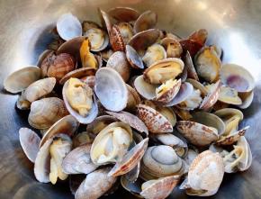 煮好的花甲取出晾凉