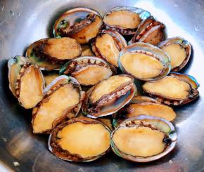 在海边买到刚刚打捞上来鲜活的鲍鱼准备做超级美味哦