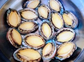 煮好的鲍鱼取出后立即放入冷水中过凉冲洗一下