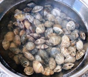 花甲放入清水中撒少许盐浸泡半小时让花甲吐吐沙子