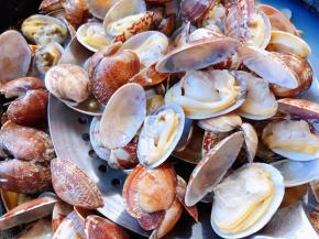 煮至花甲全部张开即可时间不宜过长影响口感