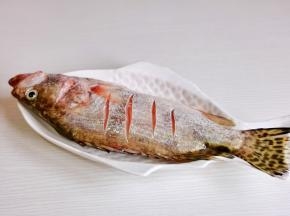 “盐”腌好的桂鱼。