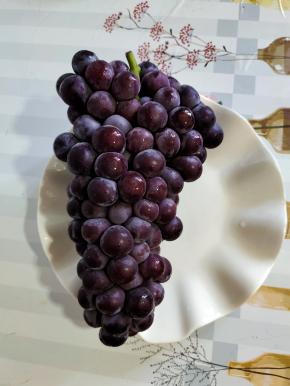 准备好一大串新鲜的葡萄！