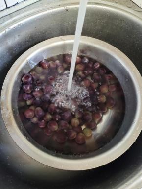 把葡萄一个个用剪刀剪下来，放在淡盐水中浸泡半个小时！（去除葡萄皮上的农药残留！）再用清水清洗几遍！