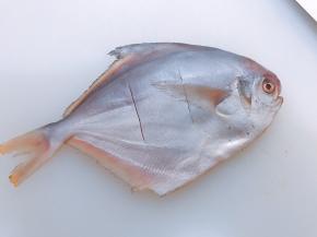 用厨房纸吸干水份，在鱼身各划两刀