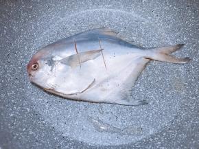 平底锅里放入少许植物油，油热后放入腌制好的鲳鱼中小火慢慢煎