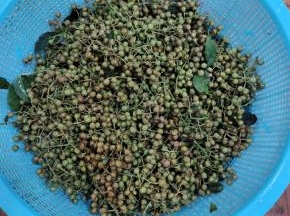 捞出，控干水分备用！