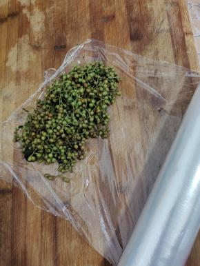 把鲜花椒放在保鲜膜上！