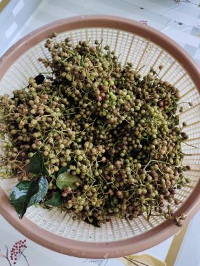 新鲜的花椒清洗干净，放在阳台上晾干水分备用！