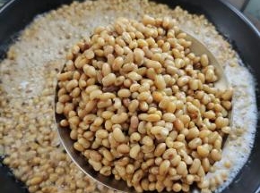 再继续煮5分钟左右，尝一下，黄豆煮熟，没有豆腥味儿就可以了！不要煮的太烂！