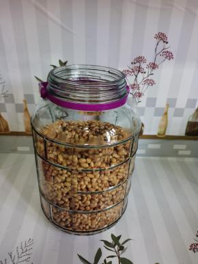 把晾凉的黄豆放进玻璃瓶中！